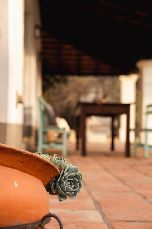 Finca Valentina image 48
